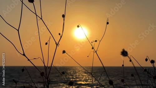 Wallpaper Mural Panoramic view of the Black Sea coast at sunset. A picturesque view of the sunset sky in the evening. View of the golden sunset and waves on the sea near the Kiselyov rock. Tuapse 4K Torontodigital.ca