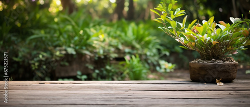 Old wood or flooring and plant in garden.