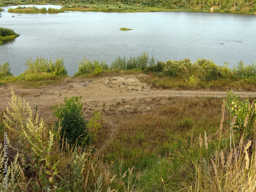 Forested river banks in summer