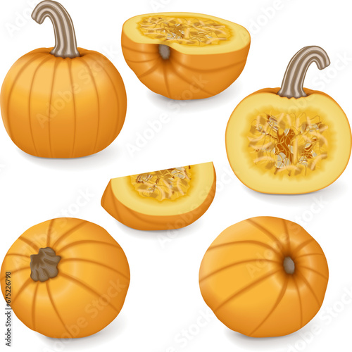 Set of Sugar Pie Pumpkins. Winter squash. Cucurbita pepo. Fruits and vegetables. Isolated vector illustration.