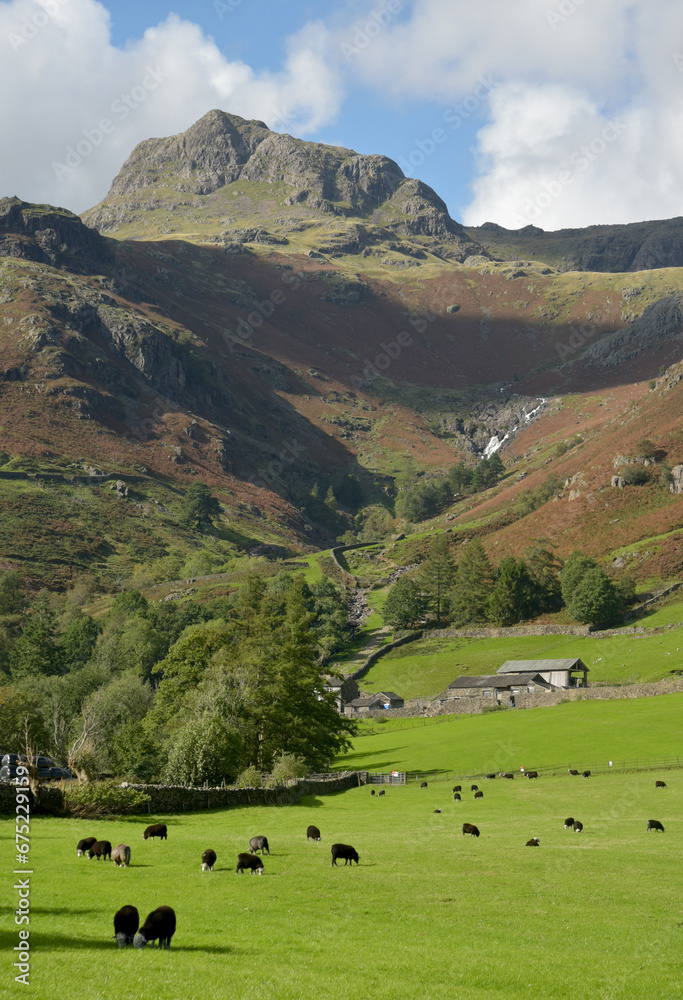 A view up the valley of Great Langdale to the Langdale Pikes in the Lake District