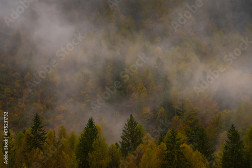 Il foliage in montagna in una giornata di pioggia e nuvole basse