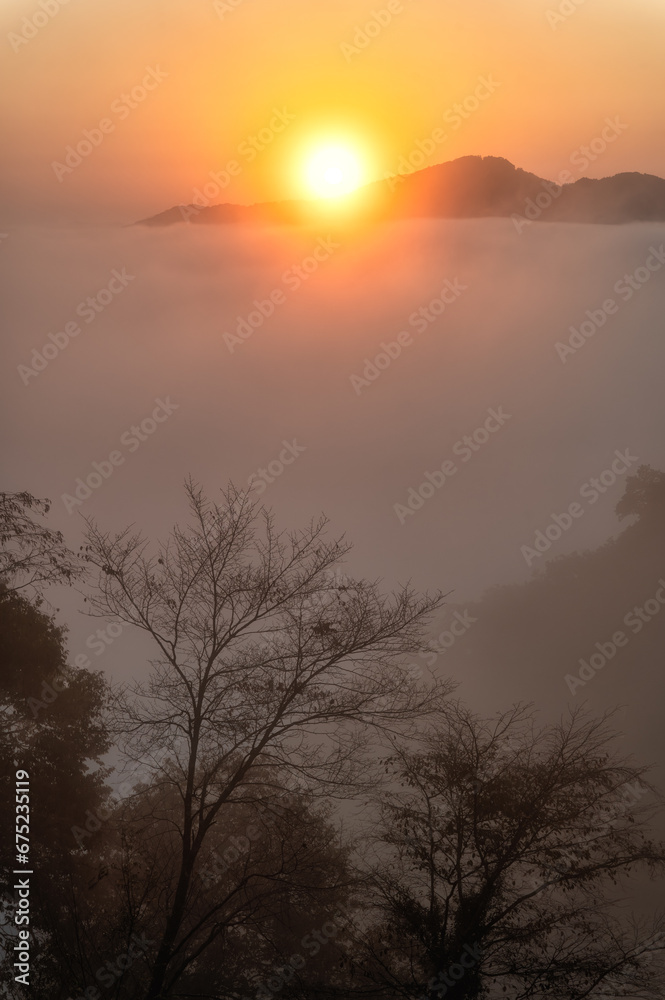 Obraz premium 栃木県 雲海が覆いつくす鎌倉山からの風景