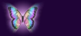 Butterfly Metaphor for departing soul Funeral Wake template banner - butterfly set against a wide purple background with copy space for message, order of service content, invitation or business card
