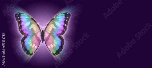 Butterfly Metaphor for departing soul Funeral Wake template banner - butterfly set against a wide purple background with copy space for message, order of service content, invitation or business card  © Nikki Zalewski