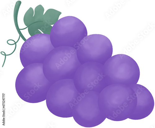 Fotografie bunch of grapes