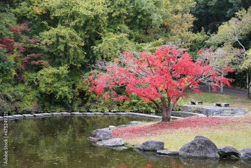 紅葉