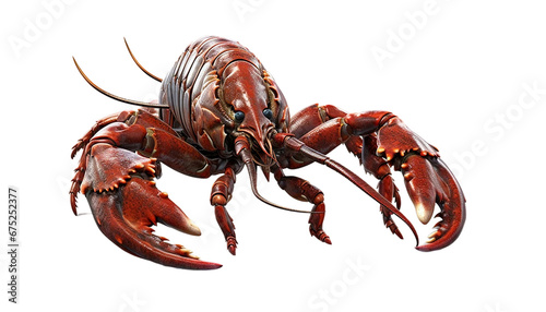 A 3d lobster