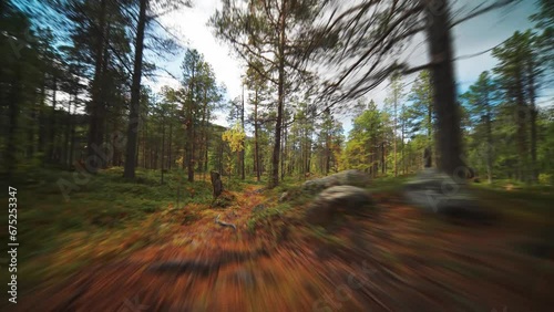 A narrow moss-covered trail in the autumn forest. Fast movement forward. photo