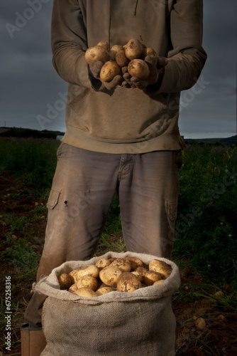 Farmer standing in a field holding potatoes in his hands
