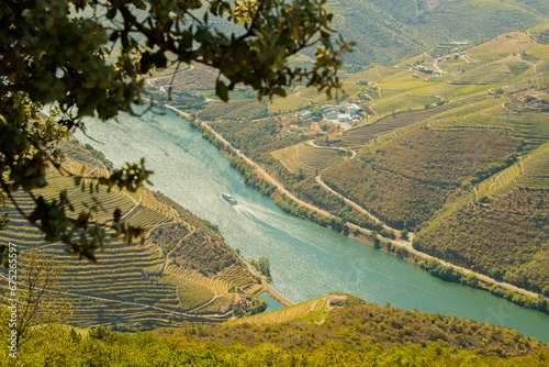 Alto do Douro - Mirador - Região de vinhos - Uvas - Norte de Portugal - Europa photo