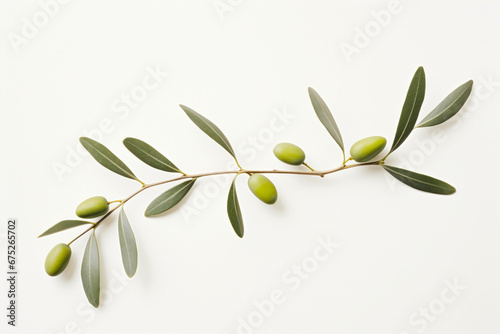 Rama de olivo con aceitunas. photo