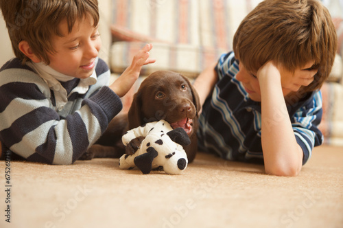 Two boys looking at a chocolate labrador puppy chewing a soft toy

