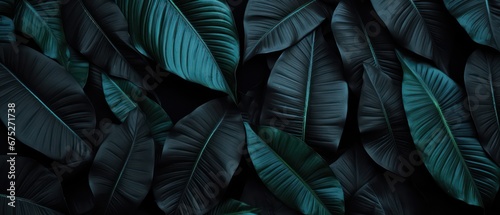 abstract dark leaves textures: tropical leaf background, flat lay, matte nature concept