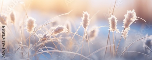 blurry frozen garden background winter landscape © krissikunterbunt
