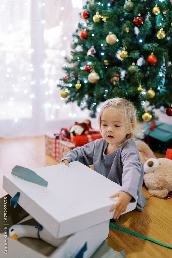 Little girl opens a box with a toy duck inside near a decorated Christmas tree