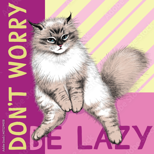 Cute lazy cat. Don't worry be lazy . Fluffy cat illustration in hand drawn style. Stylish image for printing on any surface