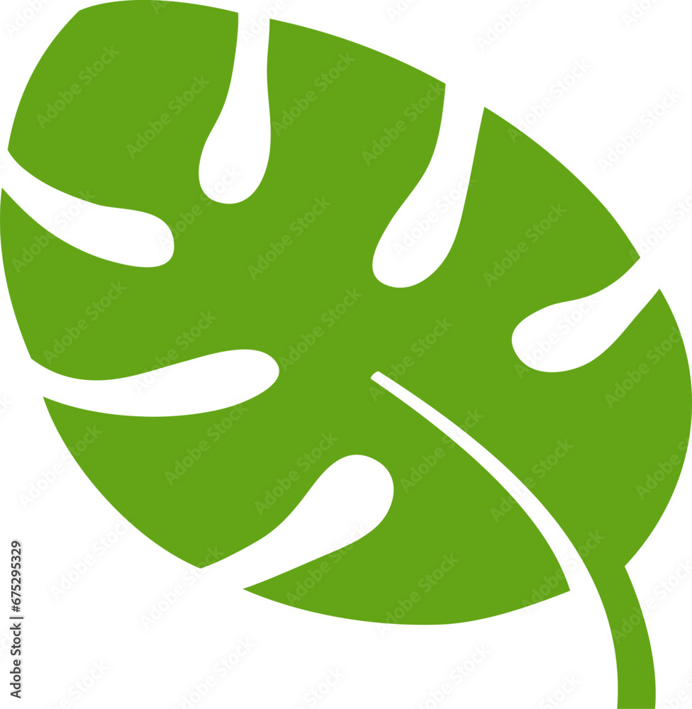 Eco green color south tropical monstera leaf vector logo flat icon 