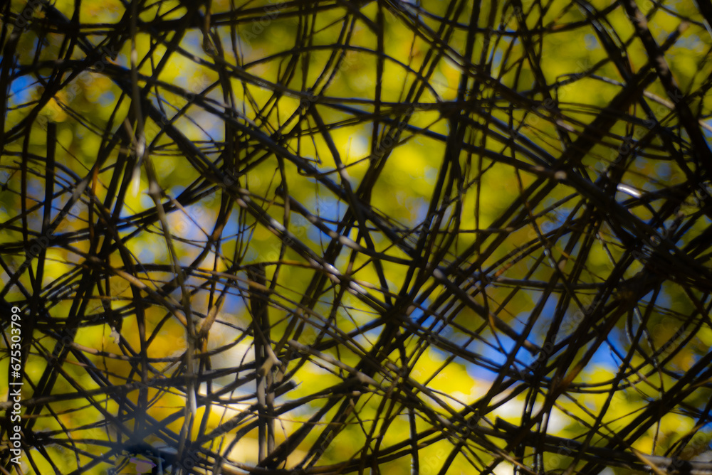 Fototapeta premium Graphic abstract open wicker canopy construction close up dark contrast colorful sunlit blue sky green vegetation blurred background