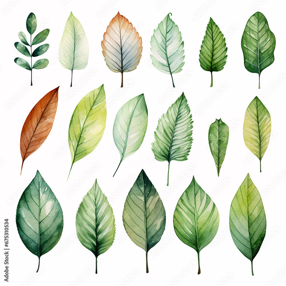 set of watercolor clip art of leaves and branches isolated on white background for graphic design