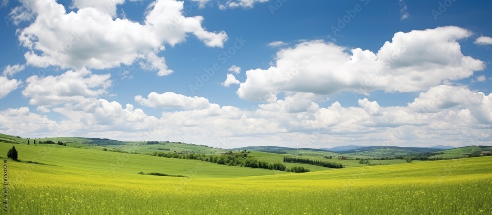 The beautiful summer sky serves as a breathtaking background for the lush green fields and breathtaking landscapes showcasing the stunning beauty of nature in the rural outdoors