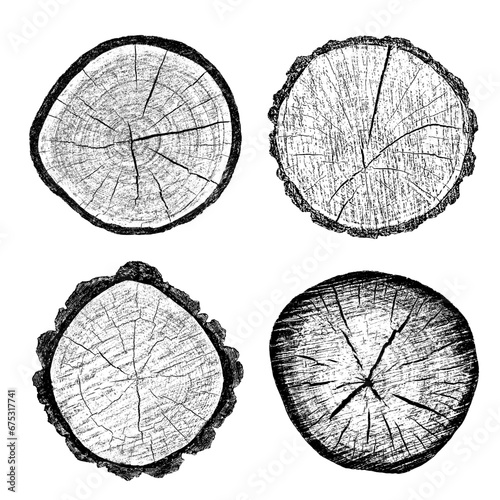 Wood texture on white background. Cross section tree rings cut slice. Round wooden design elements. Vector illustration collection.