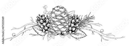 Winter forest plants border. Vector illustration of pine cone and fir branch. Hand drawn on transparent isolated background. Outline sketch of wood and leaves. Black contour line art
