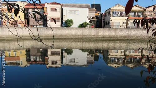 大阪、都市、風景、川、橋、秋、川、水波