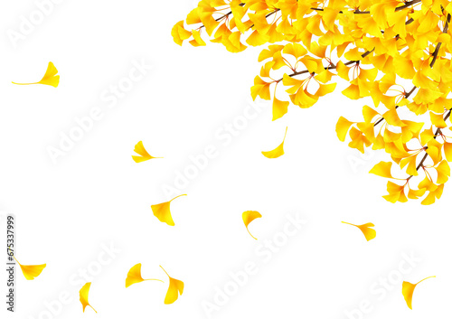 銀杏 枝 落ち葉 背景 秋