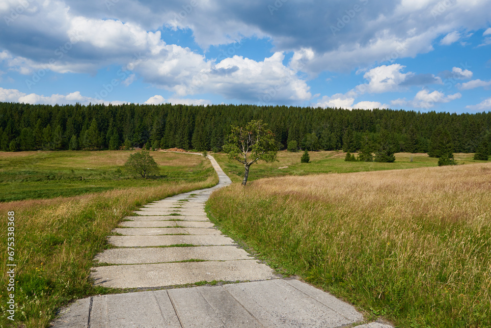 Sommer auf dem Erzgebirgskamm