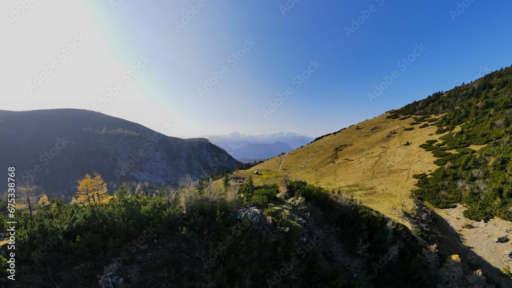 Idyllic scene of mountainous landscapes with evergreen pine trees, against a clear blue sky