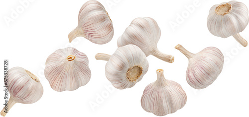Falling garlic cloves isolated