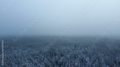 Aerial view of a snowy forest, with dense evergreen trees