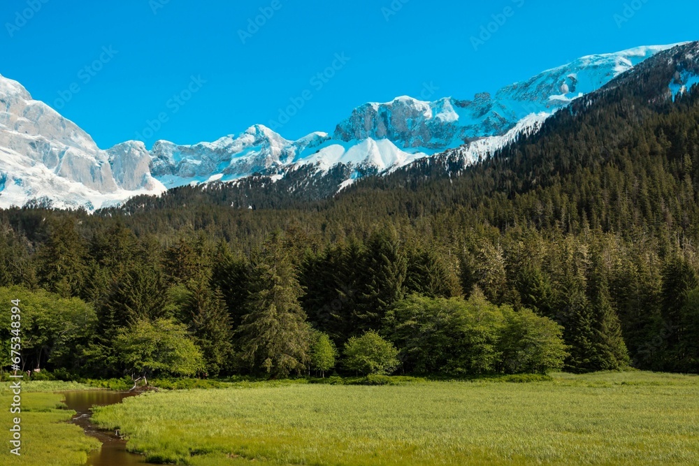 Majestic snow-covered mountain peak and a bubbling stream surrounded by lush evergreen trees