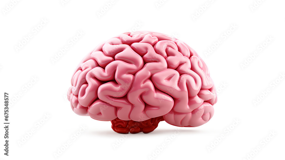 The pink human brain is isolated on a transparent background, Generative AI The pink human brain is isolated on a transparent background, Generative AI