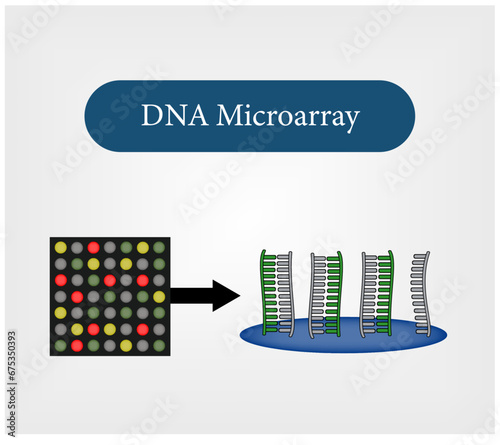 DNA Microarray,  utilized to ascertain if an individual's DNA harbors mutations in genes such as BRCA1 and BRCA2. Vector and Illustration