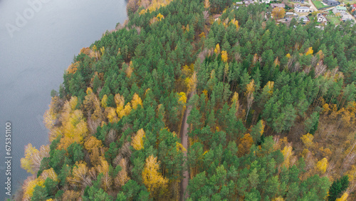 Autumn road around forest. Drone aerial view. Transport, nature and traffic