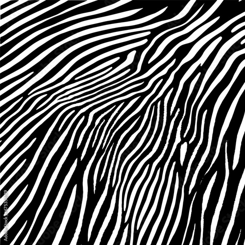 Zebra skin pattern. Black and white base monochrome background