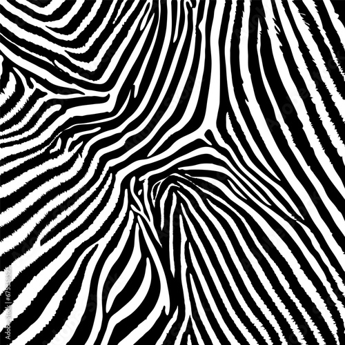 Zebra skin pattern black and white. Base monochrome backdrop
