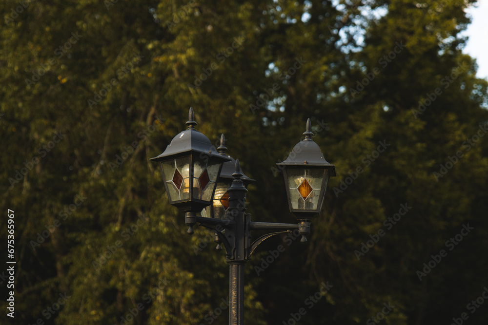 Street lamp in the park. An old street lamp on the background of a green forest.