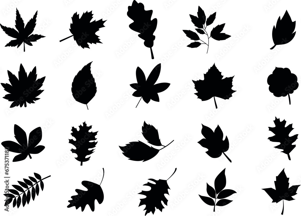 Fototapeta premium Set of different autumn leaves silhouette. Vector illustrations isolated on white background