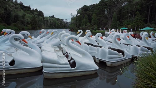 Swan Pedal Boats at Lago Negro (Black Lake) - Gramado, Rio Grande do Sul, Brazil