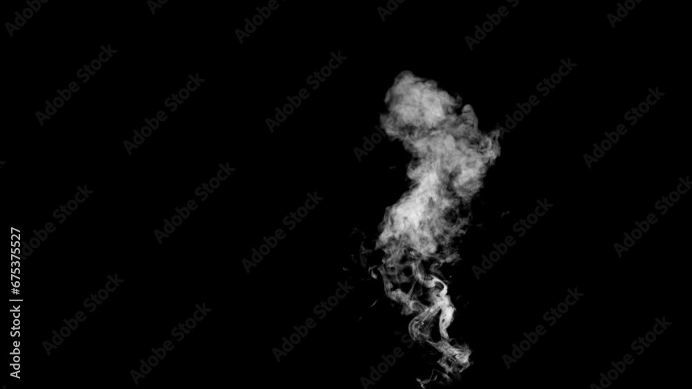 Abstract white smoke animation on a black background. Smoke, steam, explosion, fire, puff, steady vapors. Realistic smoke cloud from up and button with floating fog. Best for using in composition.