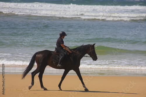 Rider on a black horse rides along the sea