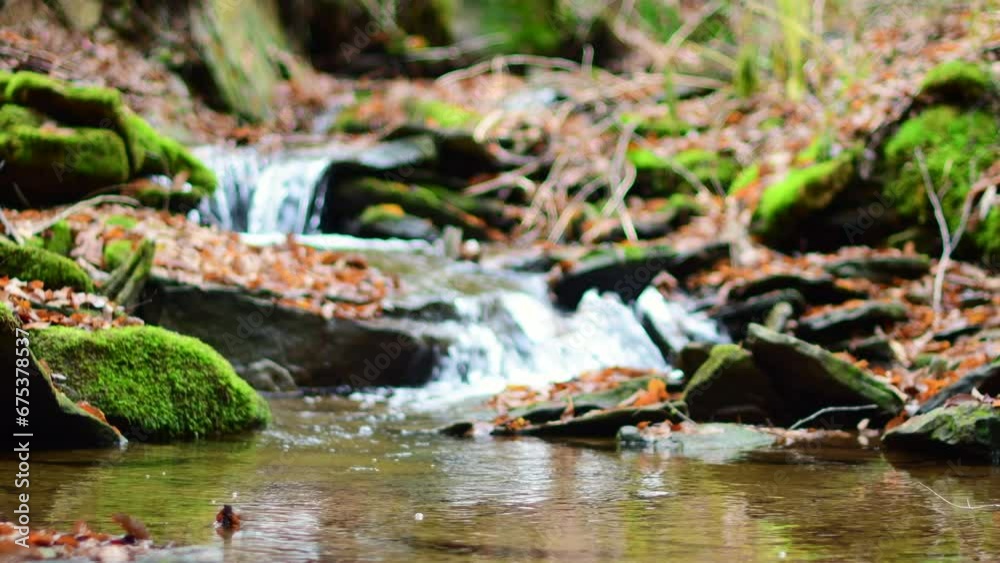 close up flowing stream late autumn season leafs in water, slow motion speed close up flowing stream late autumn season leafs in water, slow motion speed