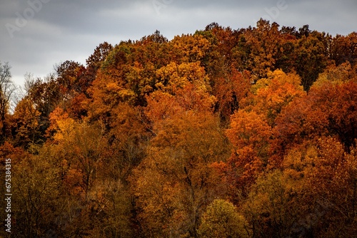 Tableau sur toile Scenic view of beautiful trees in autumn