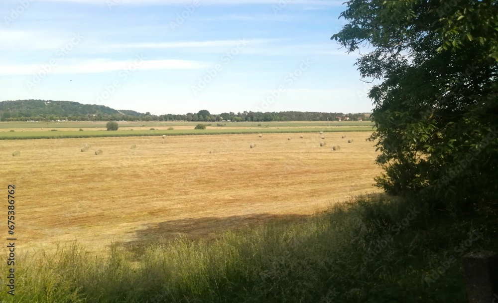 Scenic view of a meadow with hay bales on a sunny day