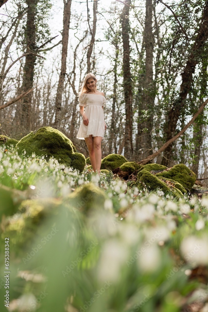 Snowdrops galanthus blonde. A girl in a white dress stands on a meadow with snowdrops in a spring forest Snowdrops galanthus blonde. A girl in a white dress stands on a meadow with snowdrops in a spring forest