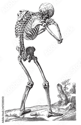 Vintage engraving of a praying human skeleton