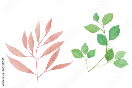 watercolor leaves illustration set - green leaf branches collection for wedding, greetings, stationary, wallpapers, fashion, background. olive, green leaves, Eucalyptus etc